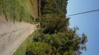 DSC09623