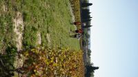 DSC09631