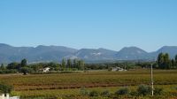 DSC09664