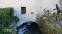 DSC09696