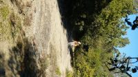 DSC09701